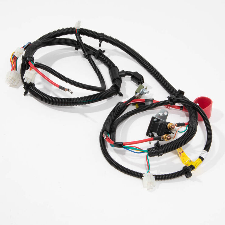 Main Harness
