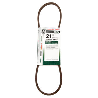 Drive Belt