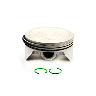 Piston W/Rings Kit