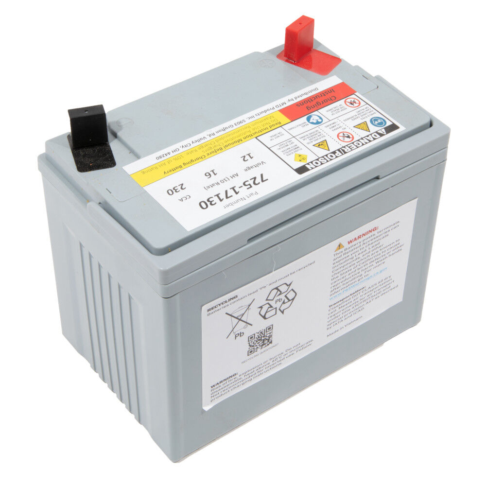 12-Volt Absorbent Glass Mat (AGM) Battery - 230 CCA - 725P17130