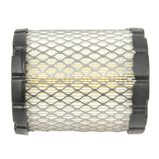 Briggs & Stratton&reg; Part Number 798897. Air Filter