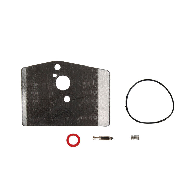 Carburetor Kit (Minor)