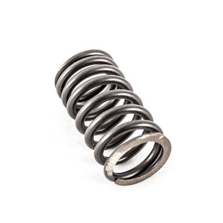 SPRING-INNER VALVE