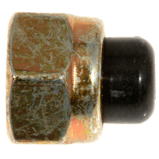 Hex Acorn Nut