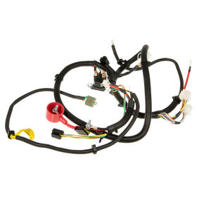 Main Harness