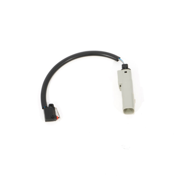 PARKING BRAKE SWITCH