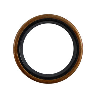 Oil Seal .750 x 1.00 x .125