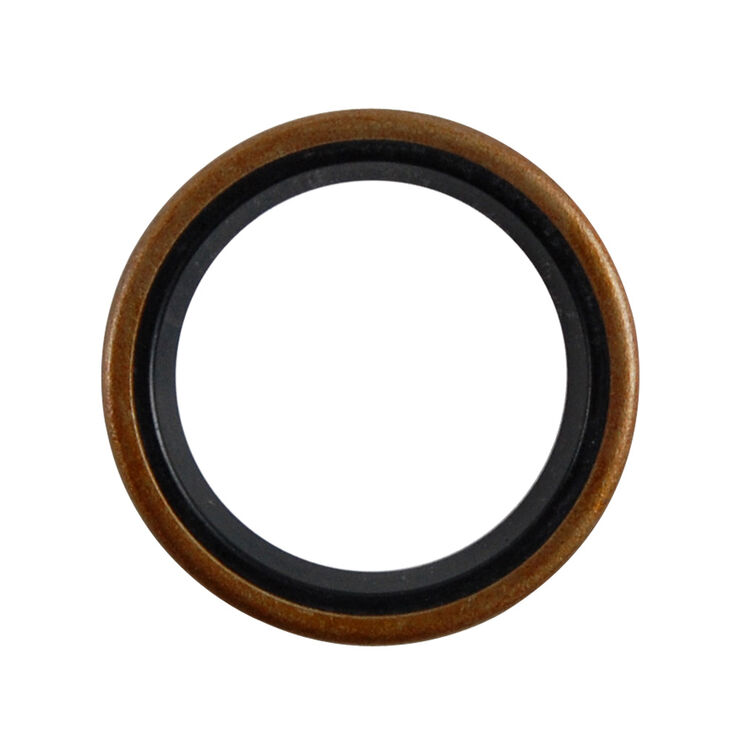 Oil Seal .750 x 1.00 x .125