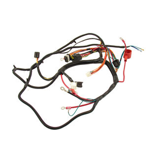 Harness Assembly (Main)