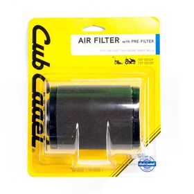 Air Filter with Precleaner