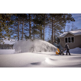 2X&reg; 30&quot; MAX&trade; Snow Blower