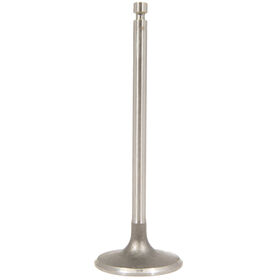 Intake Valve