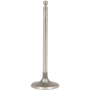 Intake Valve