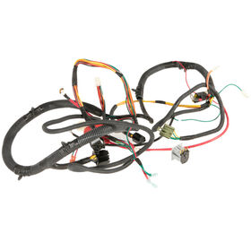 Main Harness Kit (725-04762)