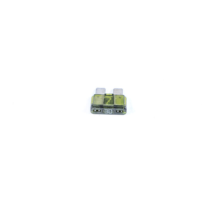 FUSE-30 AMP