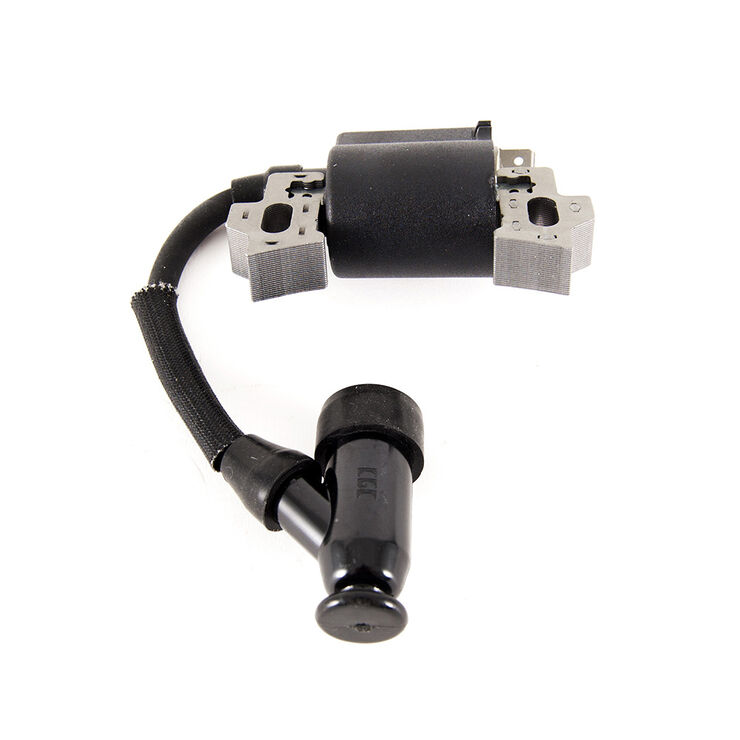 Ignition Module