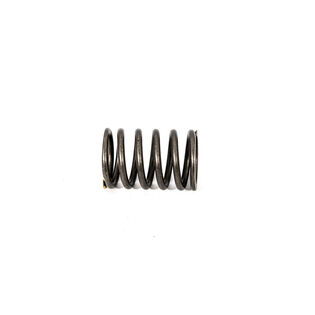 VALVE SPRING                  