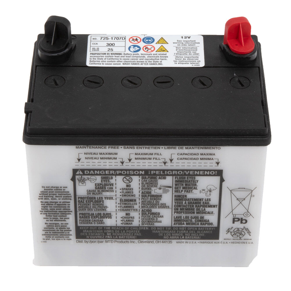 Cub cadet outlet rzt battery