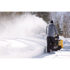 3X&reg; 30&quot; TRAC Snow Blower&nbsp;