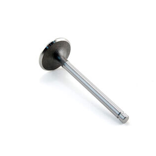 Intake Valve Std