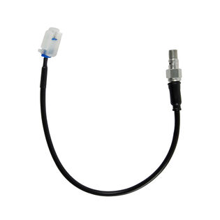 Brake Switch