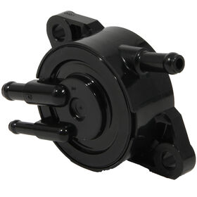 Fuel Pump Assembly