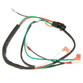 Engine Harness