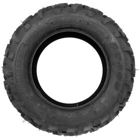 Tire (24 x 9-12)