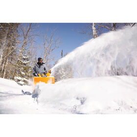 3X&reg; 30&quot; TRAC Snow Blower&nbsp;