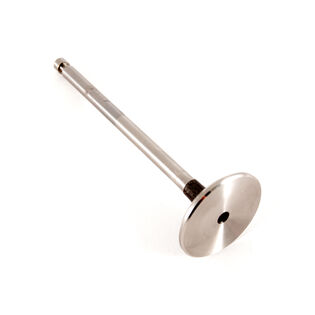Exhaust Valve