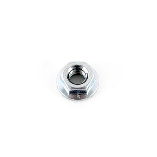 Hex Flange Nut