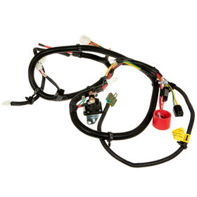 Main Harness