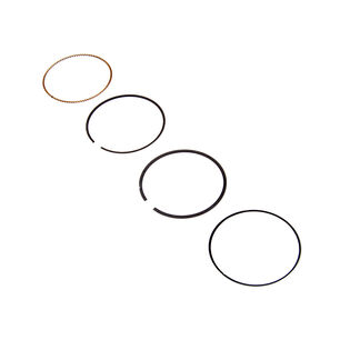 Ring Set (Std)