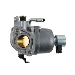 Briggs & Stratton&reg; Part Number 699807. Carburetor