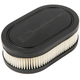 Air Filter for Briggs &amp; Stratton&reg; 550-625EX Engines