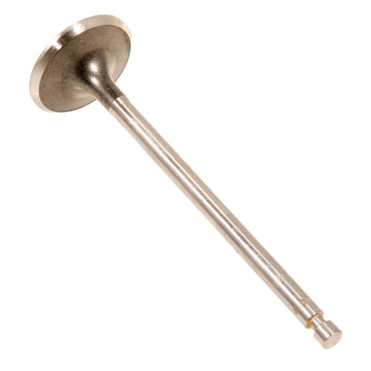 Exhaust Valve