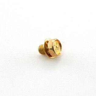 Hex Screw