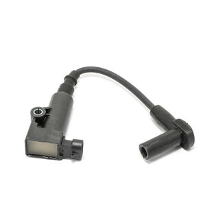 Coil-Ignition EFI