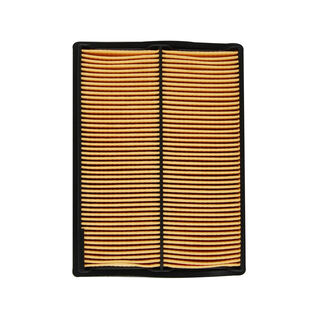 Honda&reg; Part Number 17210-ZJ1-842. Air Filter