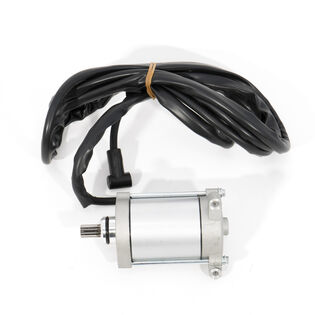Starter Motor Assembly