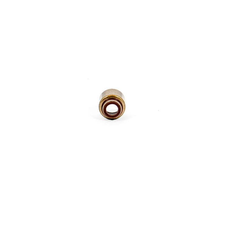 Oil Seal 