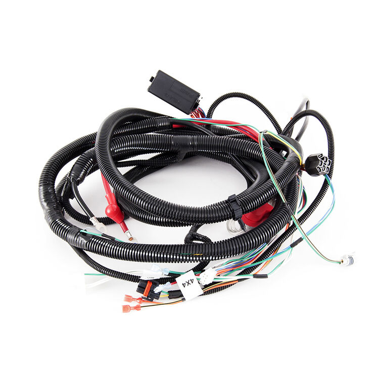 Main Harness