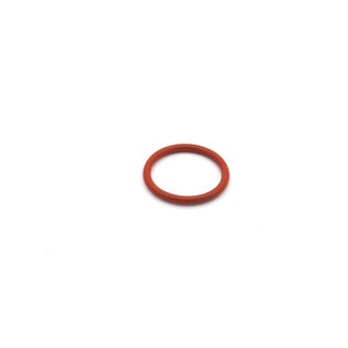 SEAL-"O" RING     CARB SPACERN