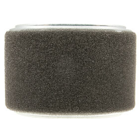 Honda&reg; Part Number 17210-Z4M-821. Air Filter Element