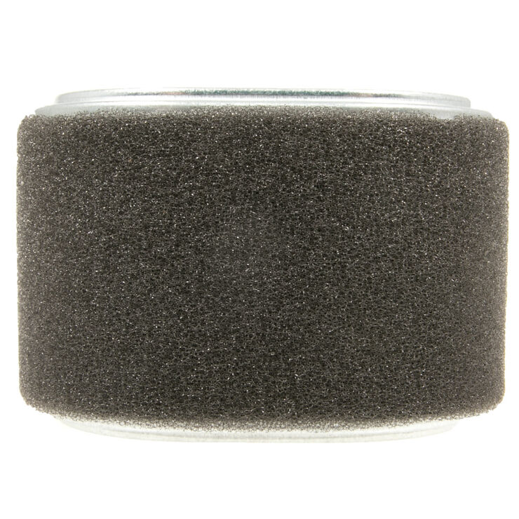 Honda&reg; Part Number 17210-Z4M-821. Air Filter Element