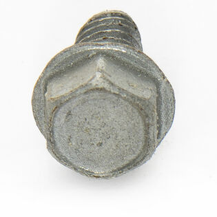 Screw 1/4-20 x .500