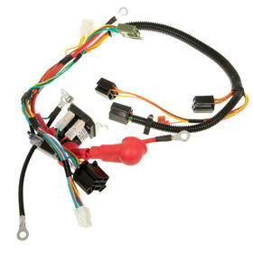 Harness