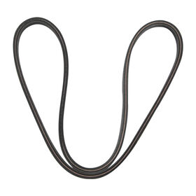 Belt Sec A x 51.18