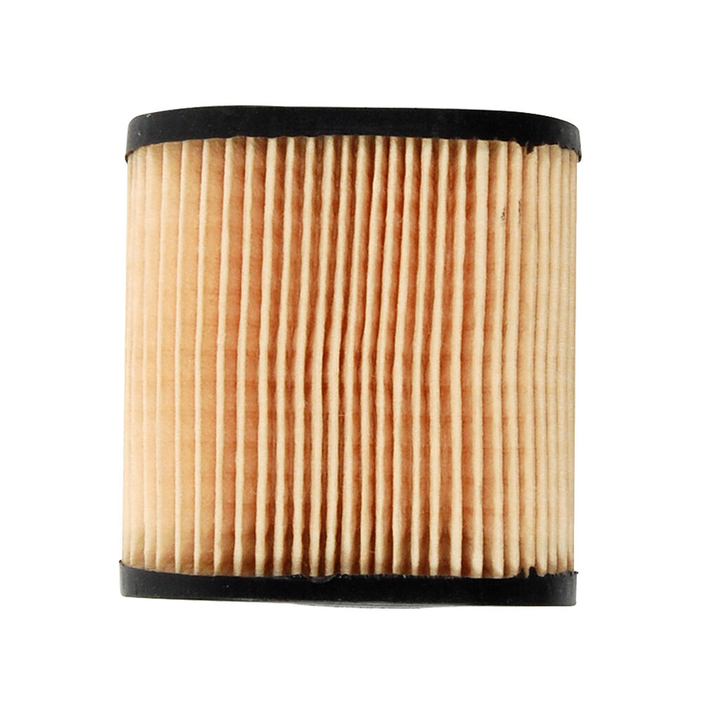 36905 tecumseh air filter store