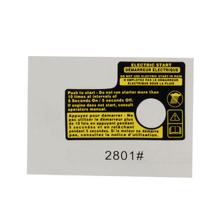 LABEL-ELECTRIC START          